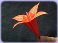 אוריגמי פרח איריס