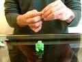 סרטון הכנת צפרדע מפלסטלינה